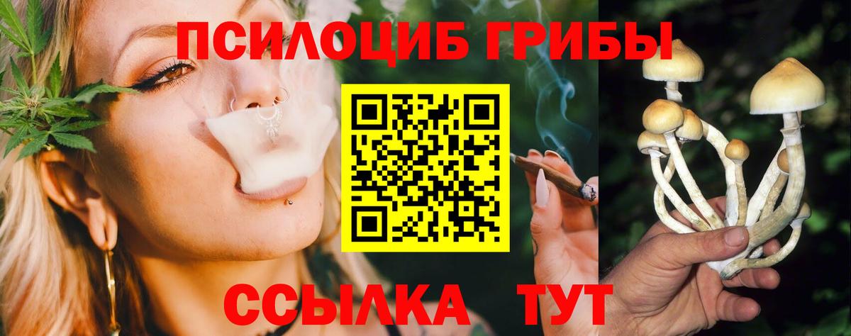 Камышлов  Галлюциногенные грибы Magic Shrooms  Вход с VPN  Псилоцибиновые грибы прущие грибы 